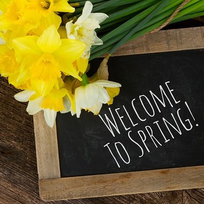 Welcome to Spring